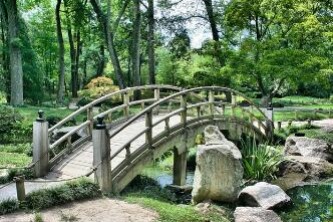 背包旅游攻略（背包去旅游）
