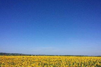 腾冲银杏村旅游攻略（腾冲银杏村旅游攻略一日游）
