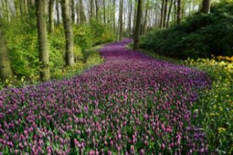 花果山自驾游（花果山自驾游应该去哪个停车场）